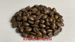 Cà phê Robusta S18 CBK trái chín 99%